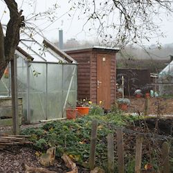 Allotment dry toilet with timber building