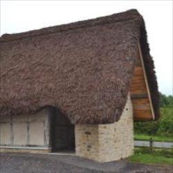 Thatched dry toilet privy